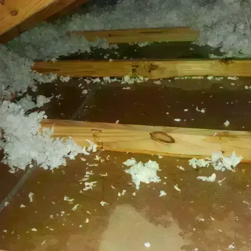 Attic Water Damage in Le Grand, CA